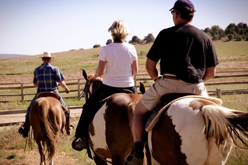 Zion Mountain Ranch 007